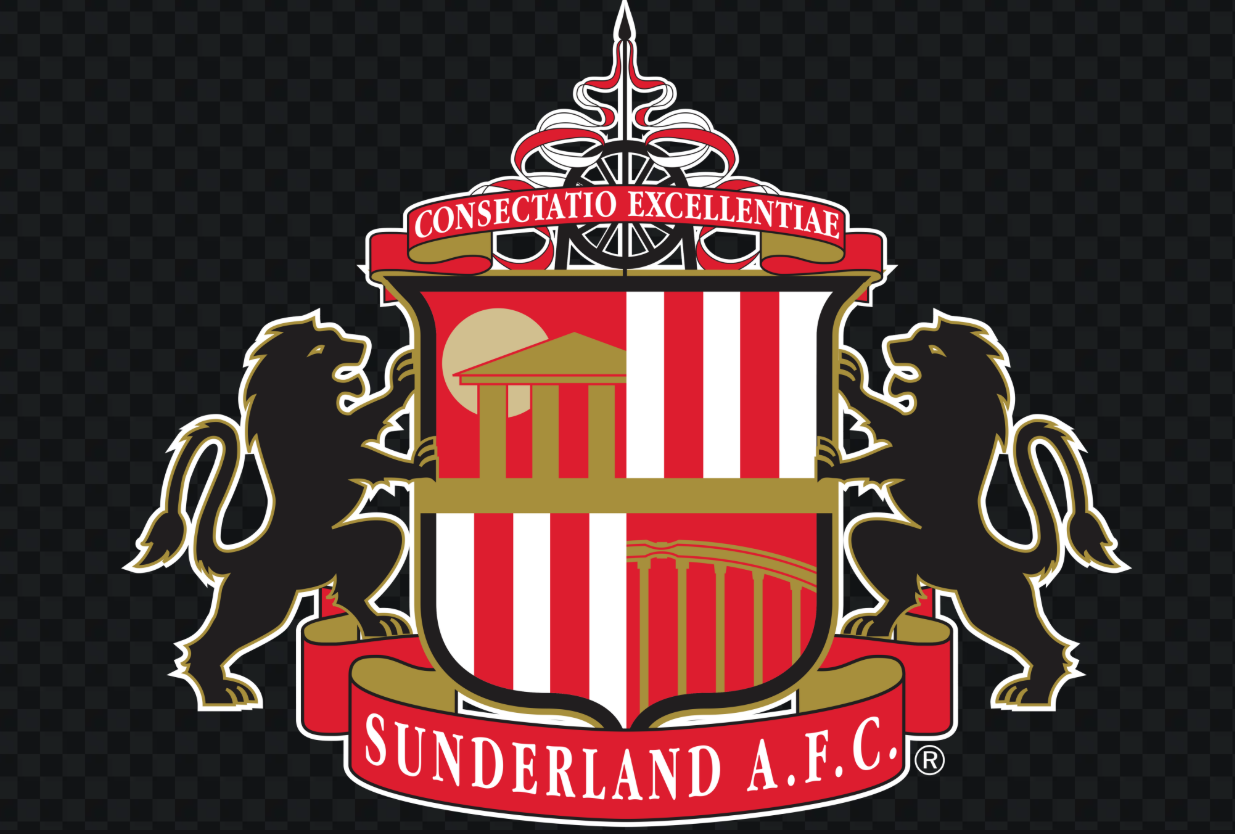 💰盆满钵满！金融专家：桑德兰升入英超至少能获得2亿镑收入