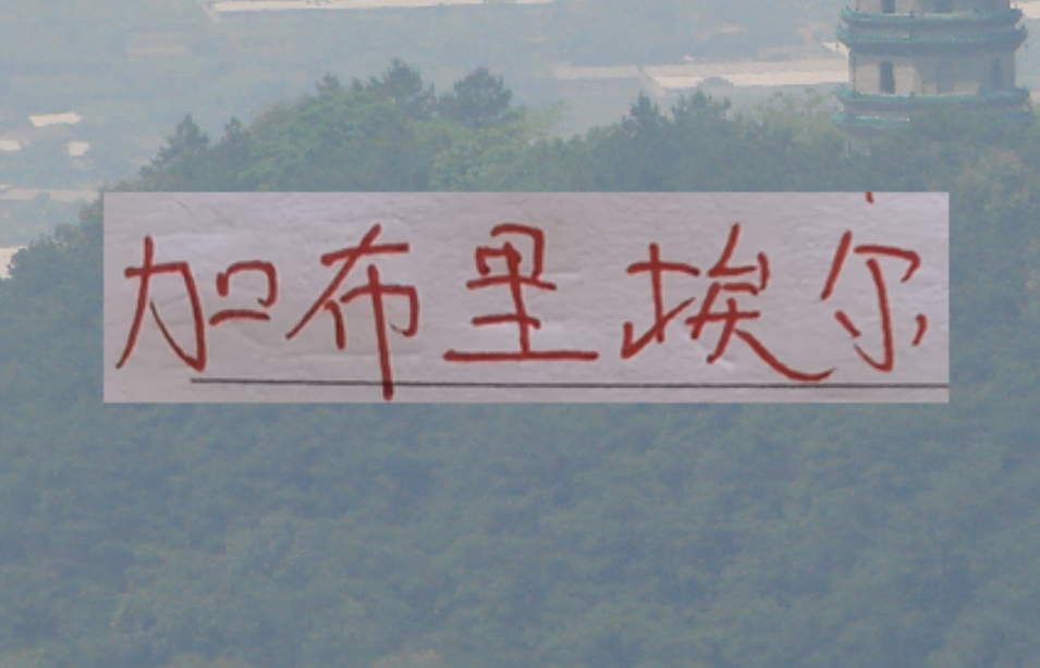 必一运动官网-鱼缸里的鱼又回来！海港加布里回来后 今年说实话实力是增强了